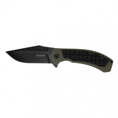 Nazis Kershaw Faultline