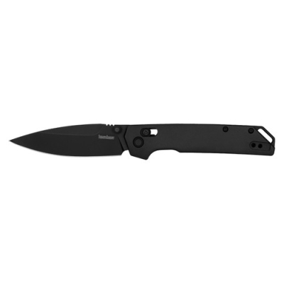 Nazis Kershaw IRIDIUM (black)